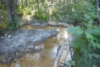 Итоги дня: открытие музеев и аттракционов, такси сбило женщину, 78 новых случаев COVID-19