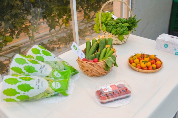 К 2024 году Хабаровский край должен обеспечивать себя овощами, молоком и мясом - Дегтярев