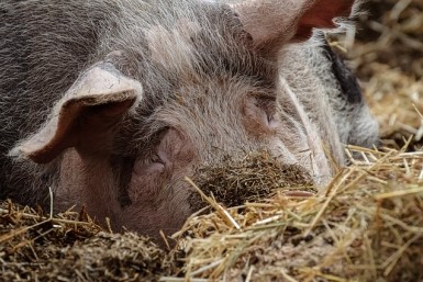 Итоги дня: +130, снова карантин, спасение дубль-2, подкуп на 12 млн, уютный уголок Итоги дня: +130, снова карантин, спасение дубль-2, подкуп на 12 млн, уютный уголок