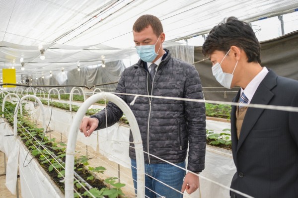 К 2024 году Хабаровский край должен обеспечивать себя овощами, молоком и мясом - Дегтярев