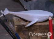 Новая жизнь коряг: хабаровские мастера нашли необычный способ помочь пострадавшим от наводнения