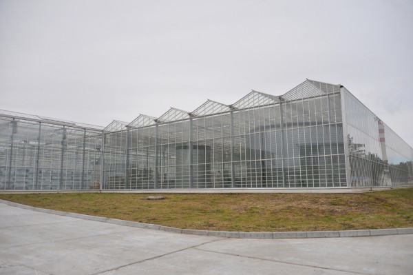 К 2024 году Хабаровский край должен обеспечивать себя овощами, молоком и мясом - Дегтярев