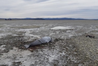 Итоги дня: +130, снова карантин, спасение дубль-2, подкуп на 12 млн, уютный уголок Итоги дня: +130, снова карантин, спасение дубль-2, подкуп на 12 млн, уютный уголок