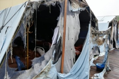 Итоги дня: +181, гибель журналистки, спящий угонщик, обвинение в Холдоми и пучеглазые мухи