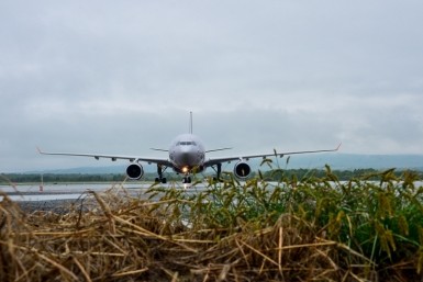 Итоги дня: +181, гибель журналистки, спящий угонщик, обвинение в Холдоми и пучеглазые мухи