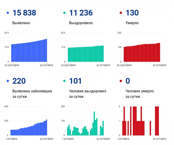 Коронавирус в Хабаровском крае (29 октября): выявлено 220 заболевших