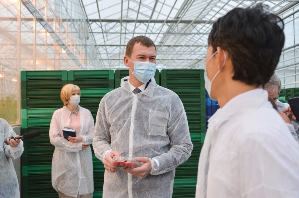 К 2024 году Хабаровский край должен обеспечивать себя овощами, молоком и мясом - Дегтярев