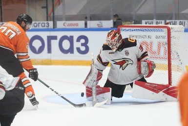 Итоги дня: разоблачение фейка, дело "Азии Леса", скандал в гордуме