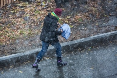 Итоги дня: +231, похолодание, театры закрываются, ПТС не выдают и пятнистые нежности Итоги дня: +231, похолодание, театры закрываются, ПТС не выдают и пятнистые нежности