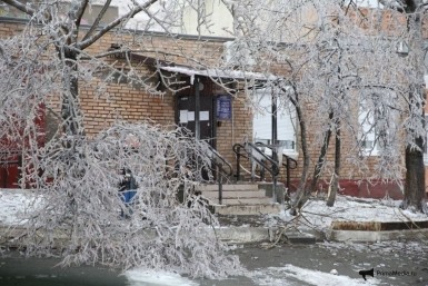 Итоги дня: сбили пешехода, экспресс-тесты, победа хоккеистов, циклон и "болевые точки"