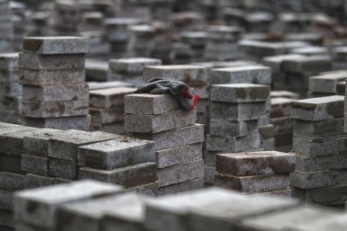 Итоги дня: нашли мёртвым, убил и закопал, проверили аптеки, циклон и "день неприятностей"