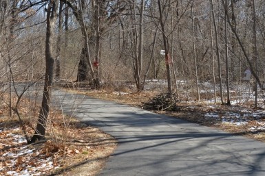 Итоги дня: +271, криминальный "фургаломобиль", эхо трагедии, когда будет зима и новая ёлка