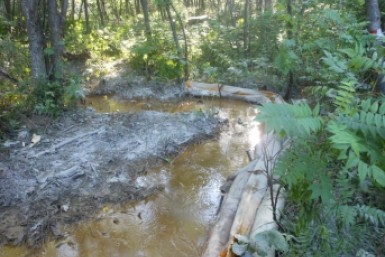 WWF требует допустить общественность на место нефтеразлива в Хабаровском крае