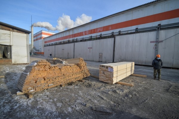 Михаил Дегтярев проверил, как в крае готовы к отказу от продажи необработанной древесины