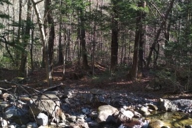 Итоги дня: +271, криминальный "фургаломобиль", эхо трагедии, когда будет зима и новая ёлка