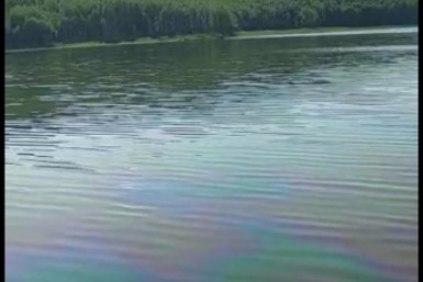 WWF требует допустить общественность на место нефтеразлива в Хабаровском крае