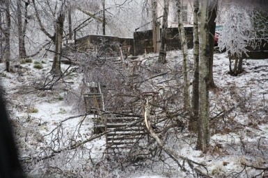 Итоги дня: сбили пешехода, экспресс-тесты, победа хоккеистов, циклон и "болевые точки"