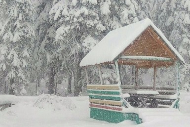 Итоги дня: назначение министров, скончалась главврач, приговор за оправдание терактов