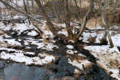 WWF требует допустить общественность на место нефтеразлива в Хабаровском крае