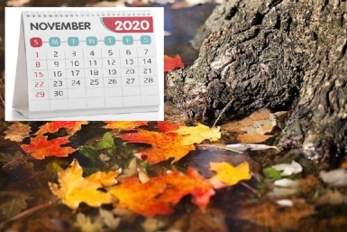 Итоги дня: +231, похолодание, театры закрываются, ПТС не выдают и пятнистые нежности Итоги дня: +231, похолодание, театры закрываются, ПТС не выдают и пятнистые нежности