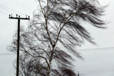 Итоги дня: +227, в Питер не летим, усиление ветра, история семьи и студенты идут на работу