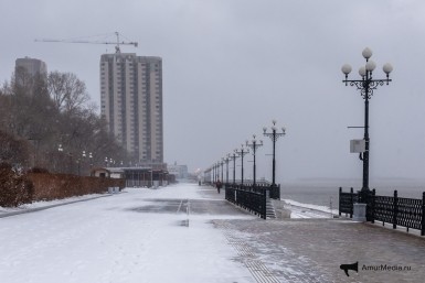 Итоги дня: разоблачение фейка, дело "Азии Леса", скандал в гордуме