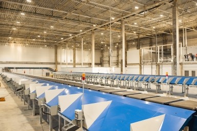 Итоги дня: поручение президента, Фургала не отпустили, "Проехали" и как выбрать елку