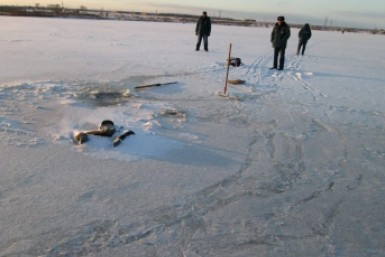 Итоги дня: +334, ледяной ужас, Китай не пропускает, авиакурильщик и тигр Амур уехал в ОАЭ