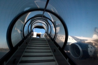 Итоги дня: поручение президента, Фургала не отпустили, "Проехали" и как выбрать елку