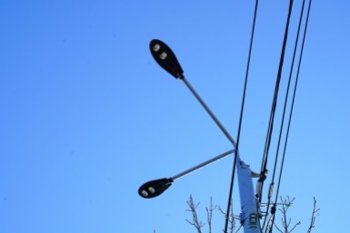 Итоги дня: плато по заболеваемости COVID, погибшая тигрица, приватизация МПС