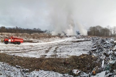 Итоги дня: плато по заболеваемости COVID, погибшая тигрица, приватизация МПС