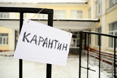 Итоги дня: плато по заболеваемости COVID, погибшая тигрица, приватизация МПС