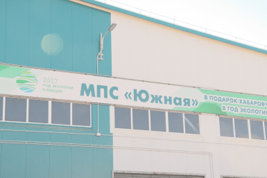 Итоги дня: плато по заболеваемости COVID, погибшая тигрица, приватизация МПС