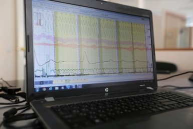 Итоги дня: нелогичные митинги, допрос экс-супруги экс-губернатора, цены, "Аврора"- лидер
