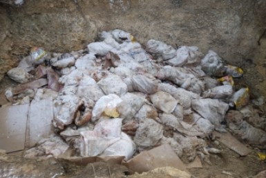 Неделя с AmurMedia: пожар в комсомольском ТЦ, авиа-дебоширы, Путин о деле Фургала