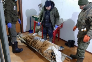 Итоги дня: подробности смертоносной аварии, Жириновский о карьере  Фургала, ночной пожар