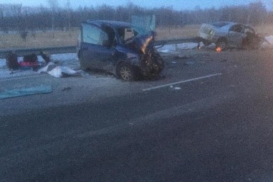 Итоги дня: +296, снова "мина" , подробности ДТП, погиб тигр, новые назначения, ещё вакцина