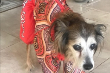 Итоги дня: +302, пнул сбитую собаку, море детей, ледяная дорога и главный в избиркоме