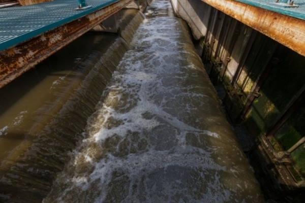 Ну ты и Крыса: погибли журналисты, сбежала и заразила людей, маньяк и аресты в Хабаровске Ну ты и Крыса: погибли журналисты, сбежала и заразила людей, маньяк и аресты в Хабаровске