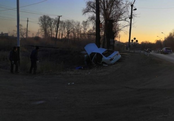 Ну ты и Крыса: погибли журналисты, сбежала и заразила людей, маньяк и аресты в Хабаровске Ну ты и Крыса: погибли журналисты, сбежала и заразила людей, маньяк и аресты в Хабаровске