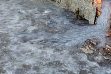 Итоги дня: +302, пнул сбитую собаку, море детей, ледяная дорога и главный в избиркоме