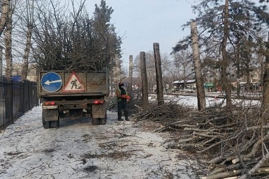Итоги дня: +302, минус один депутат, Крещение без омовений, "Динамо" без МКД, новая строка