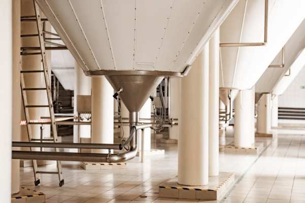 "Амур-Пиво": 60 лет с новыми достижениями