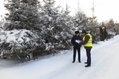 Итоги дня: несанкционированный хабаровский митинг, вакцинация и самые популярные имена