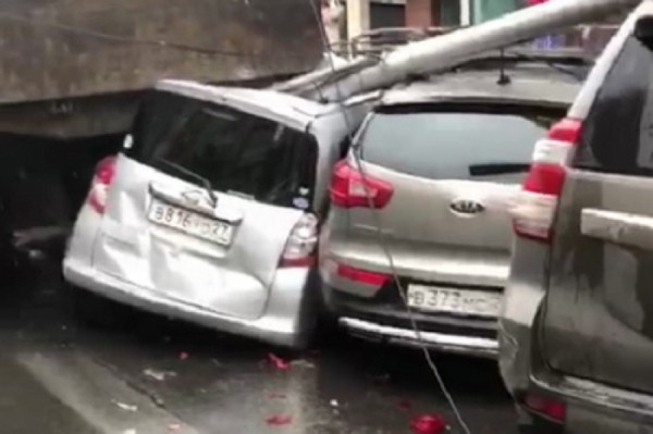 Ну ты и Крыса: погибли журналисты, сбежала и заразила людей, маньяк и аресты в Хабаровске Ну ты и Крыса: погибли журналисты, сбежала и заразила людей, маньяк и аресты в Хабаровске