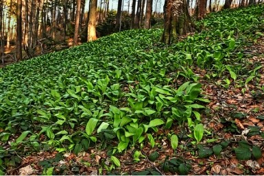 Итоги дня: погибли моряки, отчет Дегтярёва,  в метре от трагедии и самая большая Луна