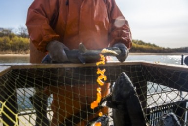 Рыбацкое сообщество, РСПП и профсоюзы выступают за рост зарплат рыбаков Дальнего Востока