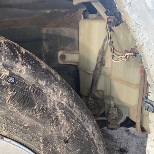 Шины, номера и проводка в клочья: клыкастые ненавистники иномарок объявились в Хабаровске Шины, номера и проводка в клочья: клыкастые ненавистники иномарок объявились в Хабаровске