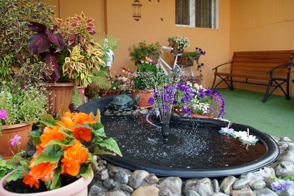 Лучшие дворы и подъезды выбрали в Хабаровске