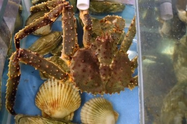 Итоги дня: падение ребенка, бегом от медведя, дорожный лихач и комариное озеро с запахом